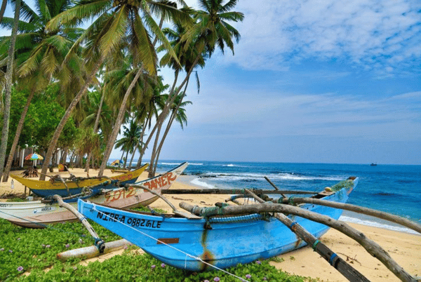 Negombo Coastal Town