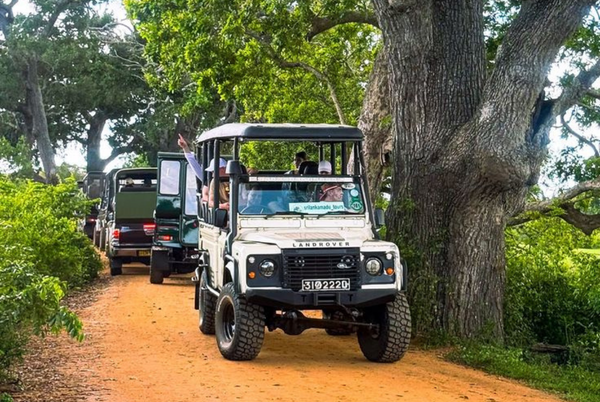 Yala Safari Jeep