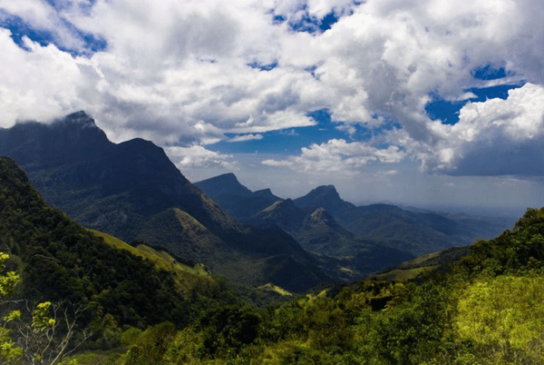 Knuckles Trekking Trail